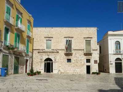 Inaugurata nel 1998, la siloteca si trova in piazza Municipio, alle porte del centro storico ed � allestita nel piano terra di palazzo Giovene. � intitolata allo xilologo molfettese Raffaele Cormio
